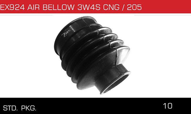 AIR BELLOW 3W4 CNG 205